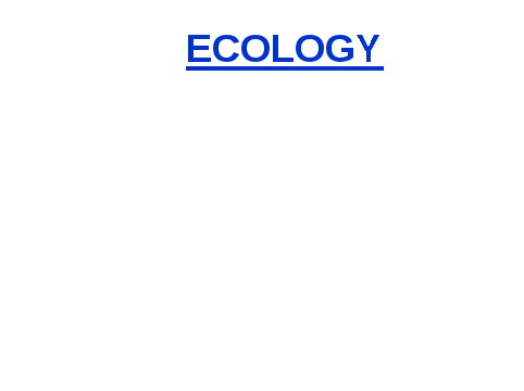 Урок английского языка по теме: Экология в 8 классе по учебнику М.З. Биболетова