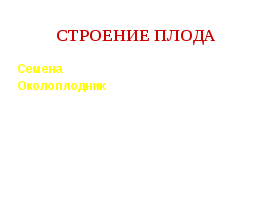 Конспект урока по биологии на тему: Плоды