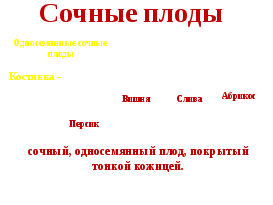 Конспект урока по биологии на тему: Плоды