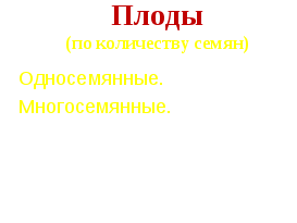 Конспект урока по биологии на тему: Плоды