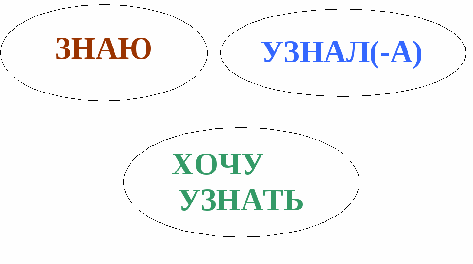 Урок по русскому языку на тему Определение