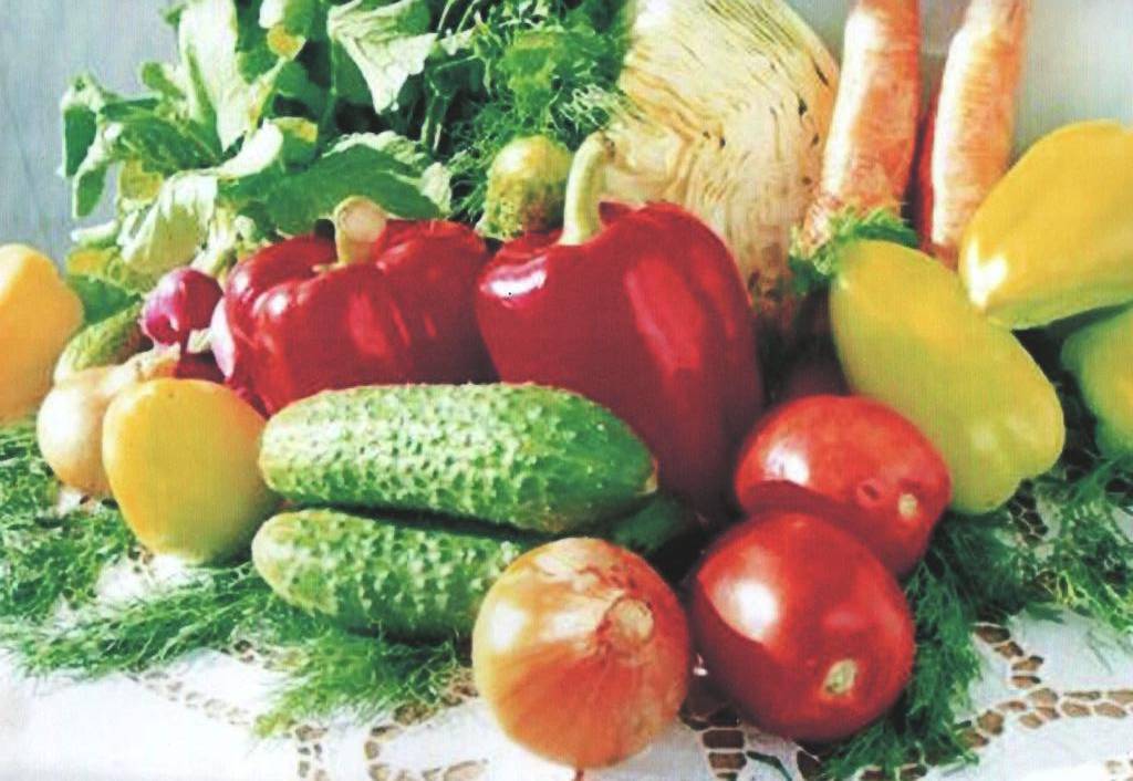 Урок по русскому языку на тему Овощи