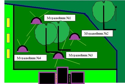 Исследовательский проект Экология и поведение лесных муравьев