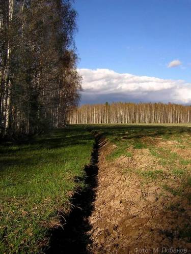 Межа. Межа граница рубеж. Межа в поле. Под межой.