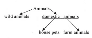 Конспект урока по английскому языку на темуЛюбимые животные (4 класс)