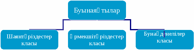 Конспект по биологии на тему Бунақденелілердің дамуы (7 класс)