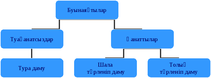 Конспект по биологии на тему Бунақденелілердің дамуы (7 класс)