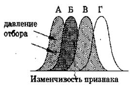 План-конспект занятия «Движущие силы эволюции, их влияние на генофонд популяции. Синтетическая теория эволюции. Результаты эволюции. Сохранение многообразия видов как основа устойчивого развития биосферы»