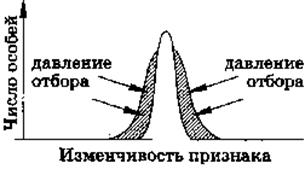 План-конспект занятия «Движущие силы эволюции, их влияние на генофонд популяции. Синтетическая теория эволюции. Результаты эволюции. Сохранение многообразия видов как основа устойчивого развития биосферы»