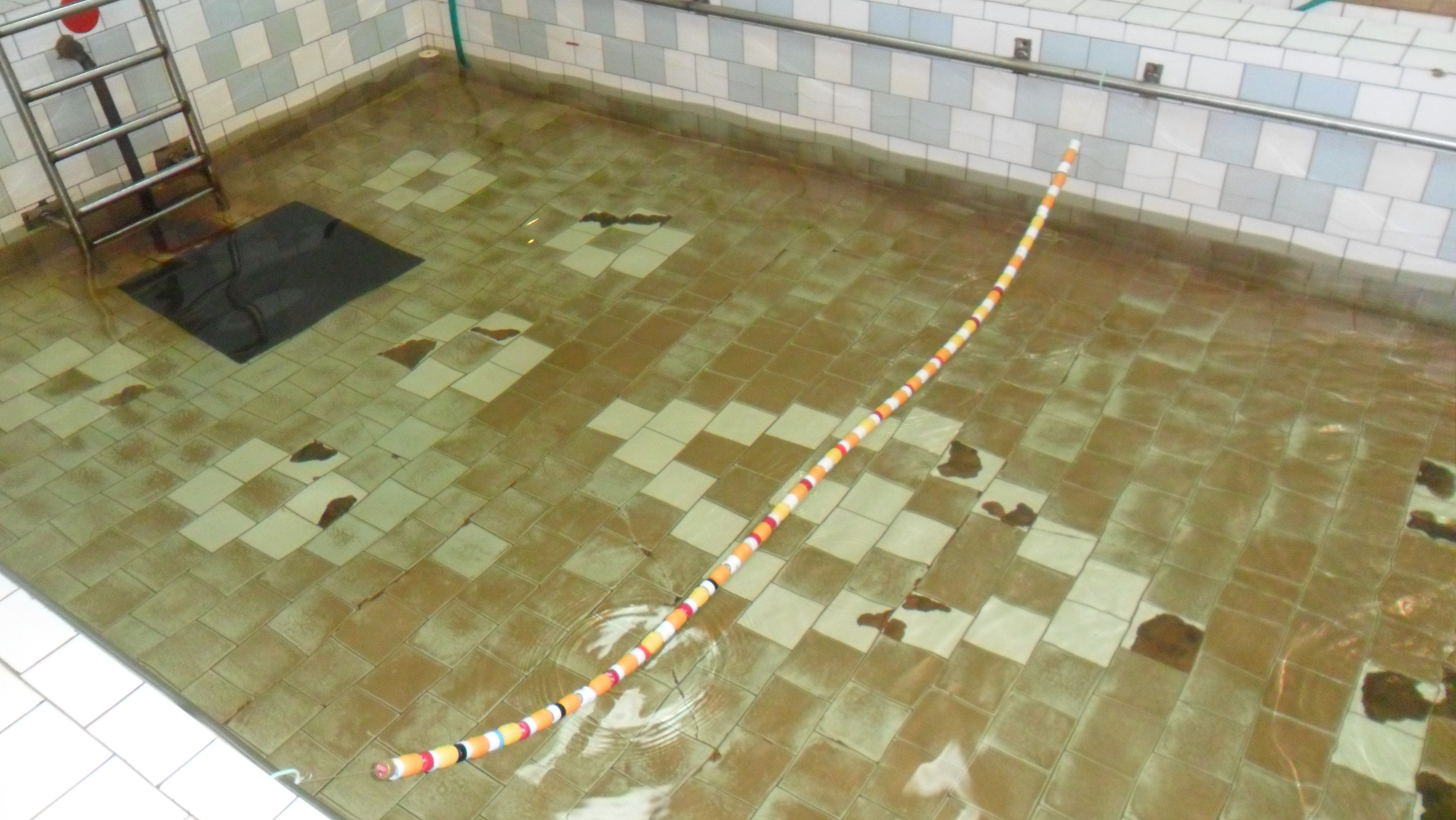 Изготовление и применение нестандартного оборудования на занятиях в бассейне