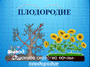 Конспект урока познание мира в 3-м классе по теме «Почва»