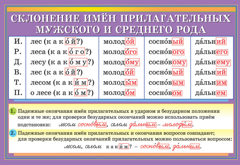 Раздаточный материал по русскому языку