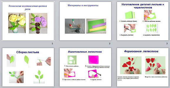 Урок по технологии на тему Цветы из гофрированной бумаги (5-6 класс)