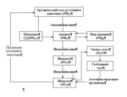 Методические рекомендации по теме Человек и окружающая среда