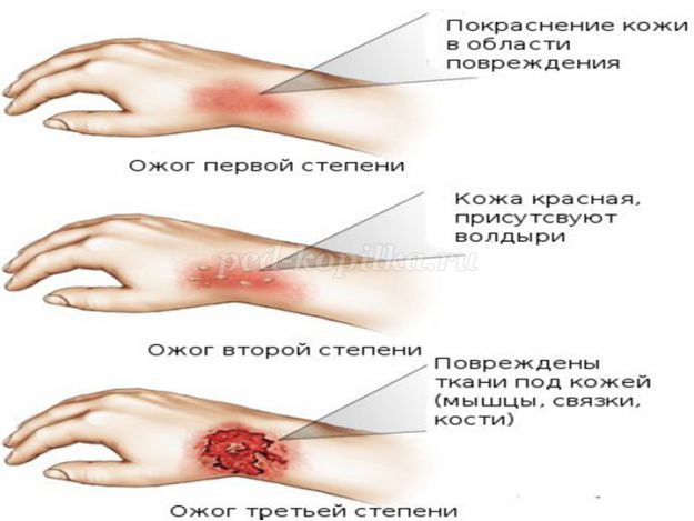 Тестовая диагностическая работа по ОБЖ 5 класс