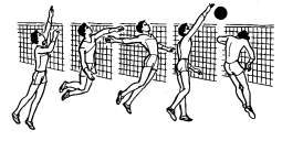 Тема занятия: «Волейбол. Техника игры в нападении и защите »