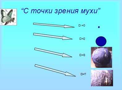 Реферат Теория фракталов. Фракталы в природе.