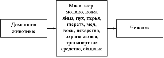 Технологическая карта по окружающему миру на тему: «Дикие и домашние животные» (1 класс)