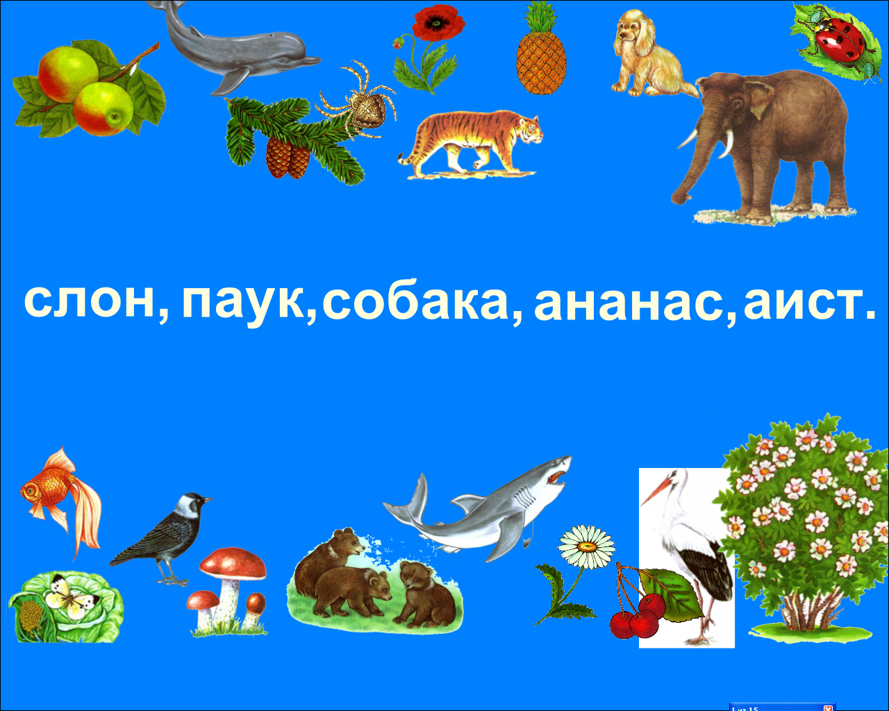 Технологическая карта урока по окружающему миру 3 класс разнообразие животных