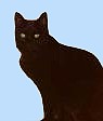 Научно-практическая работа по английскому языку BEWARE BLACK CATS WITH EMPTY BUCKETS «Остерегайтесь черных кошек с пустыми ведрами»