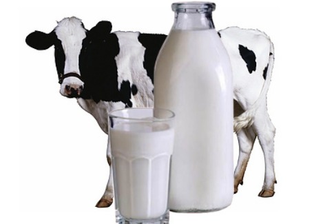 Конпект урока Блюда из молока