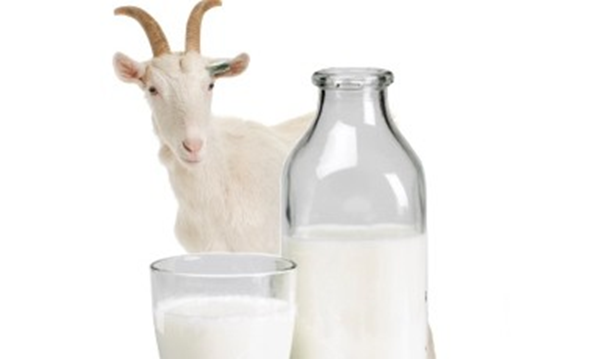 Конпект урока Блюда из молока