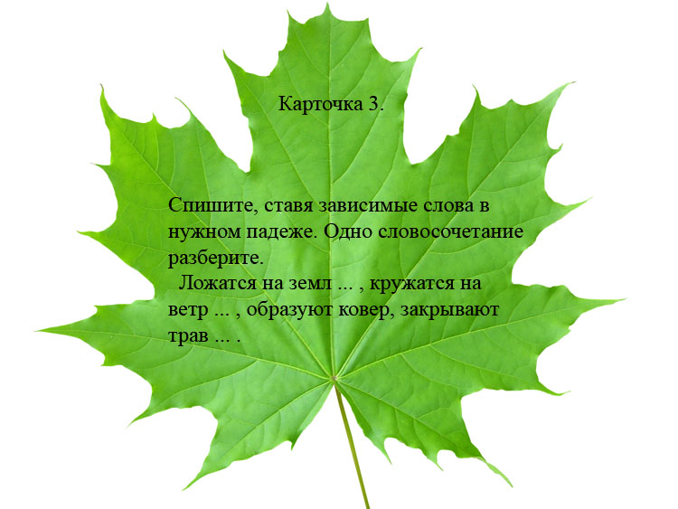 Конспект урока:Согласование подлежащего со сказуемым