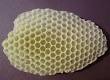 Исследовательская работа по математике Пчелиная ячейка как природный математический шедевр из воска