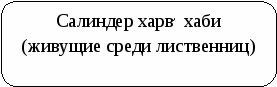 Приложение к докладу. Происхождение и значение фамилий моих одноклассников