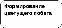 Рабочая тетрадь по цветоводству