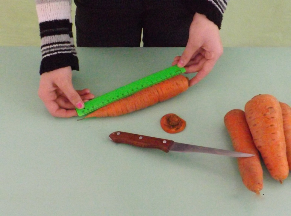 Исследовательская работа Сортоиспытание моркови