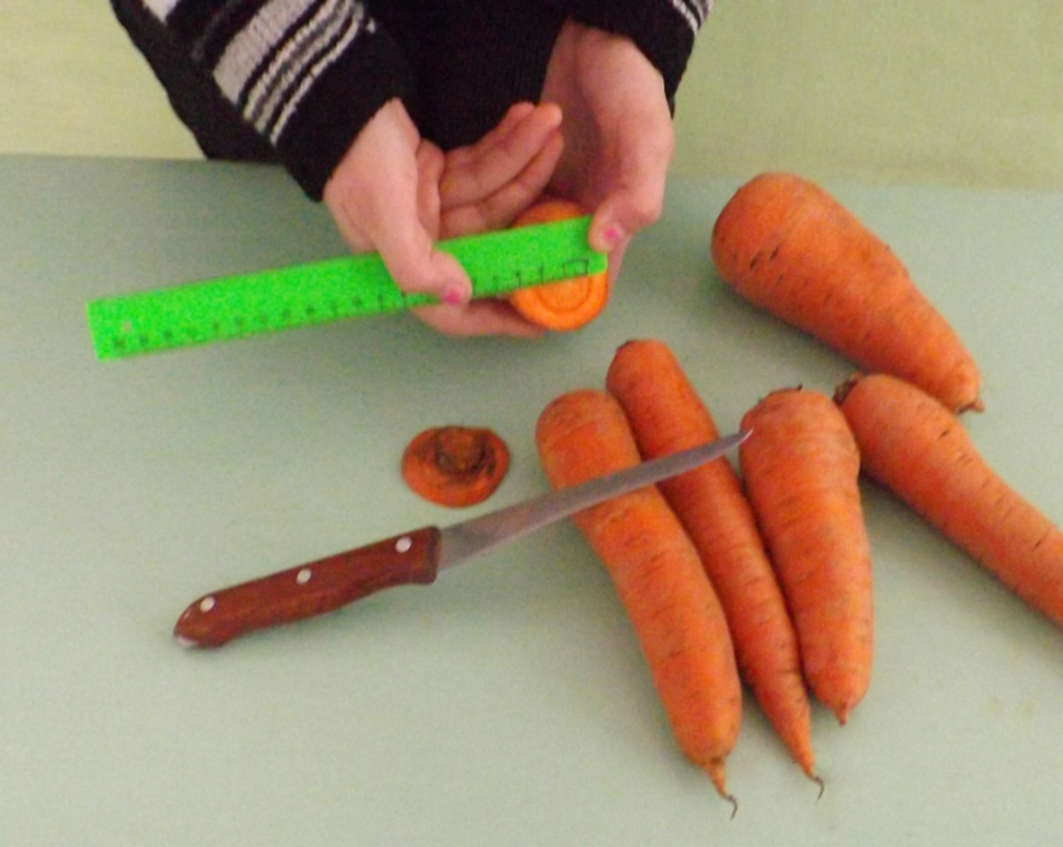 Исследовательская работа Сортоиспытание моркови