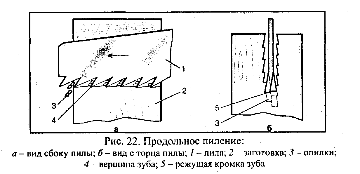 Урок по столярному делу в 7 классе по теме: «Строгание заготовки в размер».