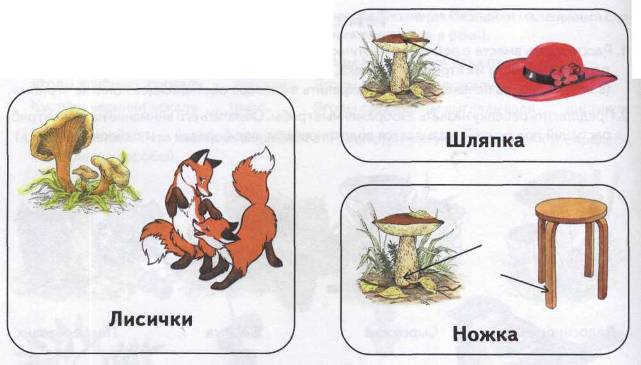 Структурные карты к урокам русского языка в 6 классе (ЗПР)