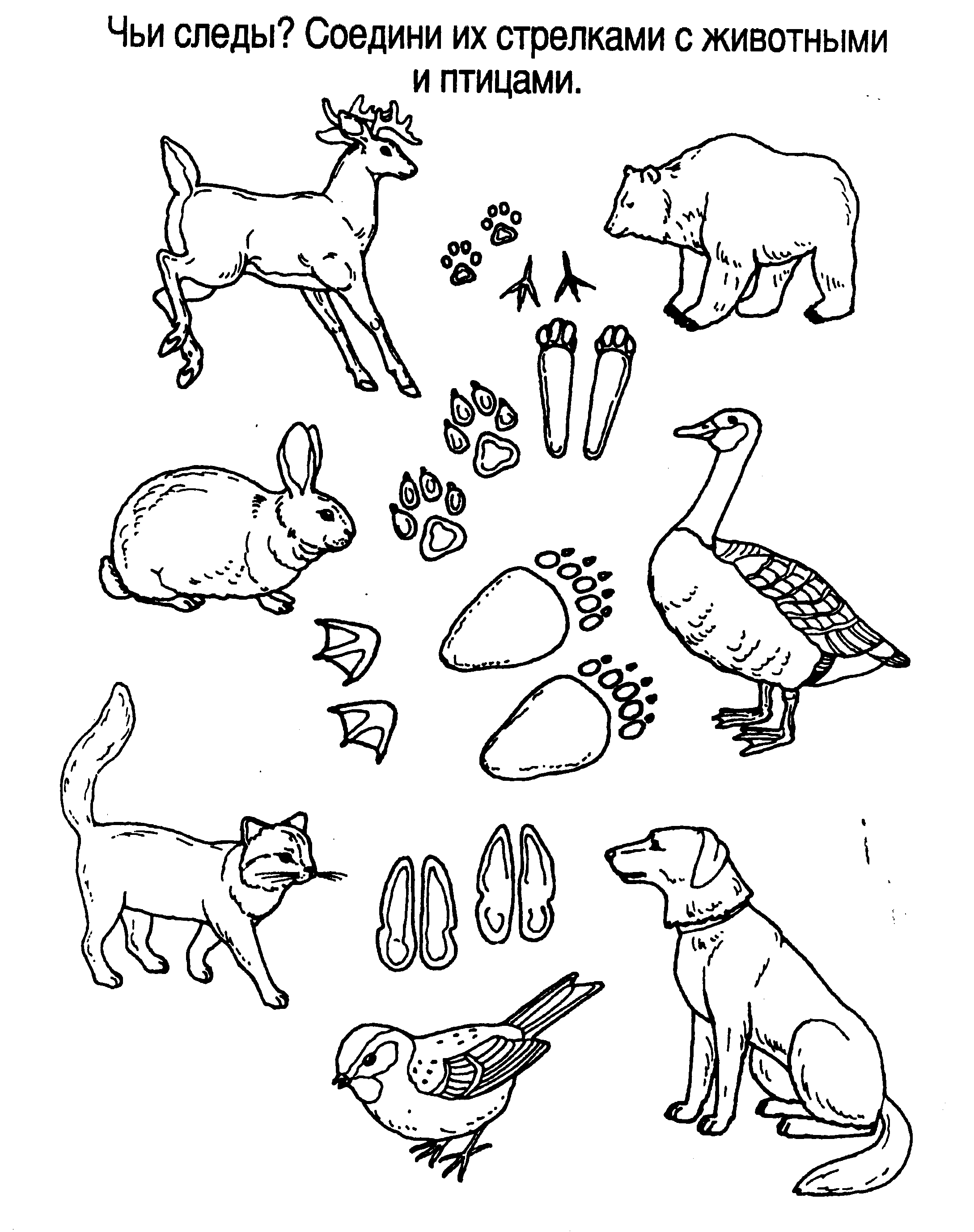 Интересные рисунки домашних животных