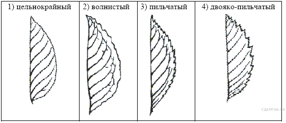 Промежуточная аттестация для 6 класса по биологии