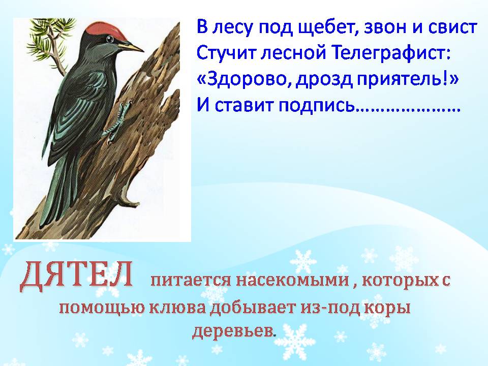 Свист звон. Стихи про птиц для детей. Загадки про птиц. Загадки про птиц для детей. Загадки про зимующих птиц для дошкольников.
