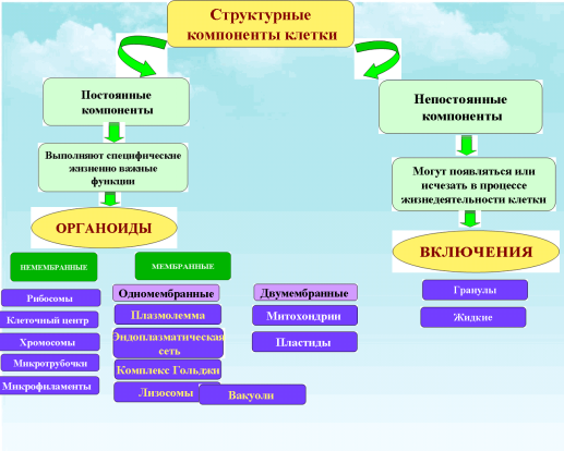 Основные компоненты клетки. Основные структурные компоненты клетки. Структурные компоненты клетки схема. Назовите основные структурные элементы клетки. Постоянные структурные компоненты клетки.