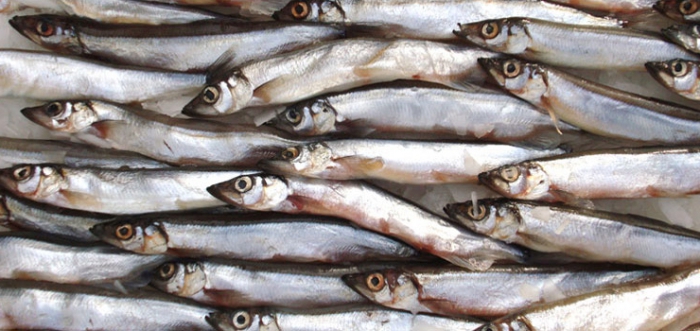 Конспект урокаПриготовление блюд из рыбы