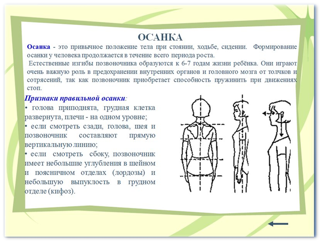 Осанки человека реферат. Информация про осанку. Проект на тему осанка. Проект на тему осанка человека. Правильная осанка залог здоровья проект.