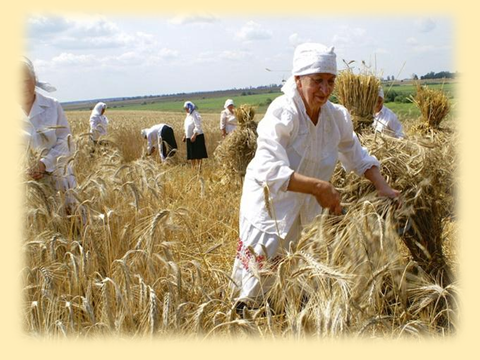 Урок литературы Певцы земли кубанской