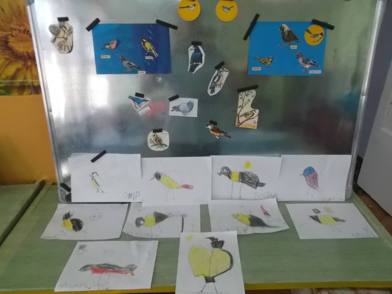 Материалы проекта с дошкольниками Птицы - наши друзья