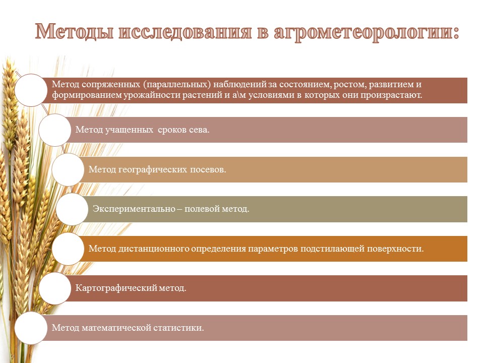 Методическая разработка открытого урока по агрометеорологии на тему Введение в агрометеорологию