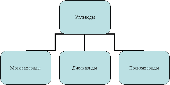 Методическая разработка по теме Углеводы