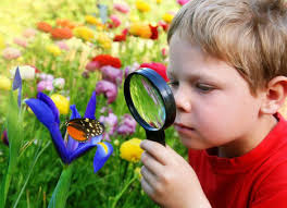 Устный журнал «Natur und Wir»