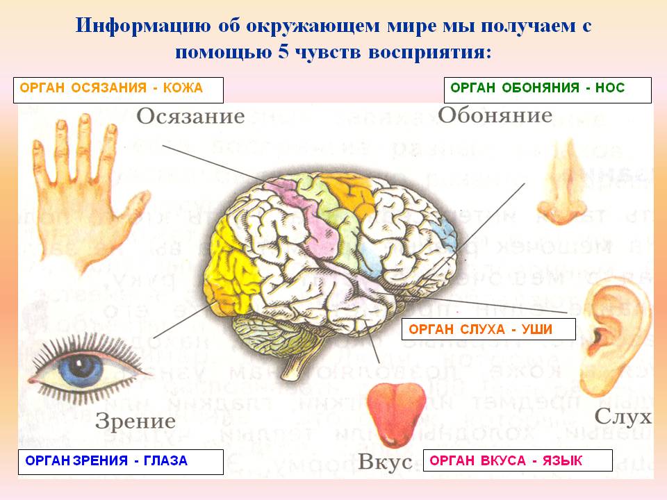 Стаття Війна як метод скорочення населення