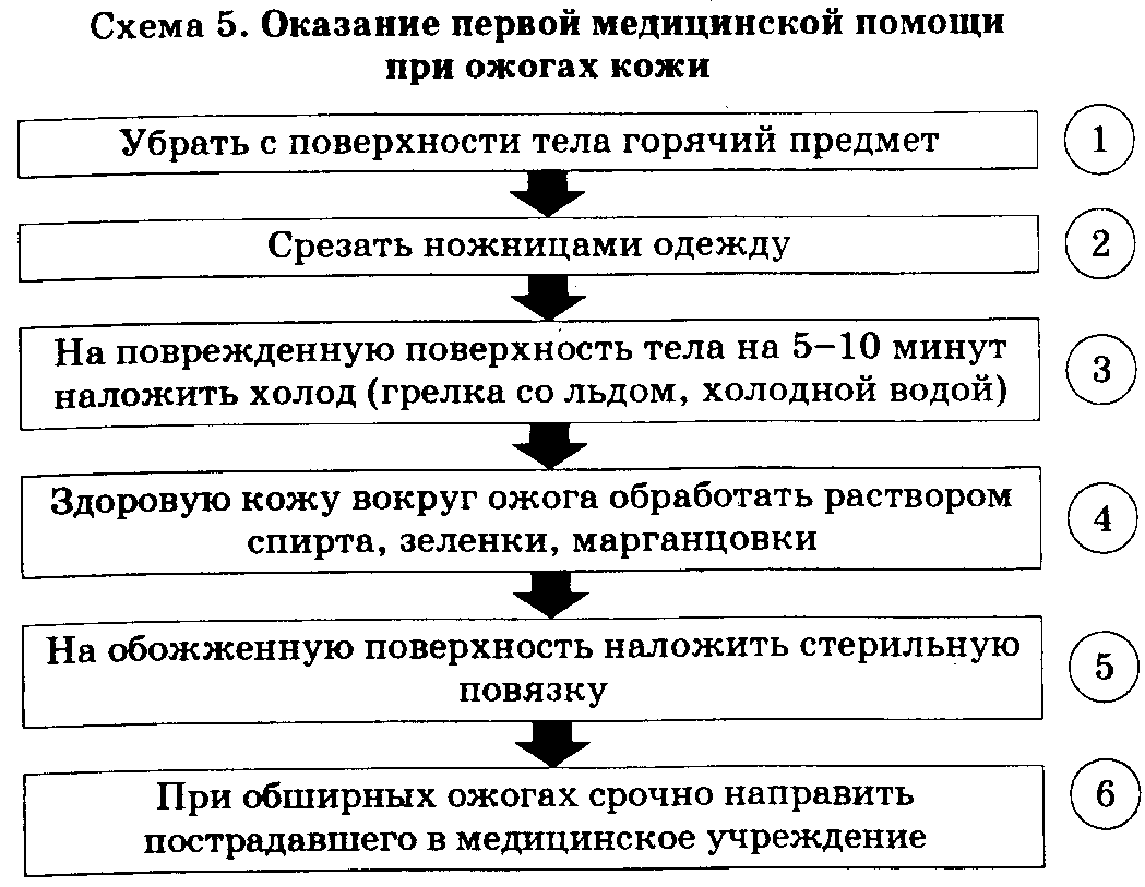 Конспект урока по ОБЖ: Ожоги(6 класс).