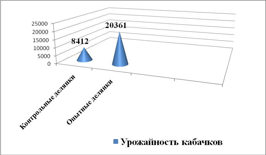 Исследовательская работа «Влияние удобрений на рост, урожайность кабачков»