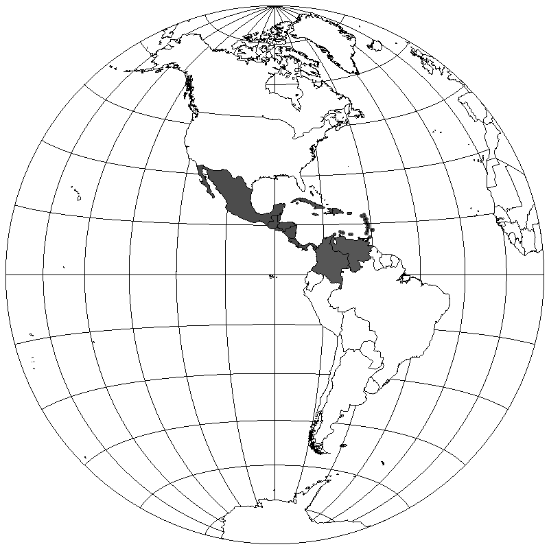 Северное полушарие на контурной карте 5 класс