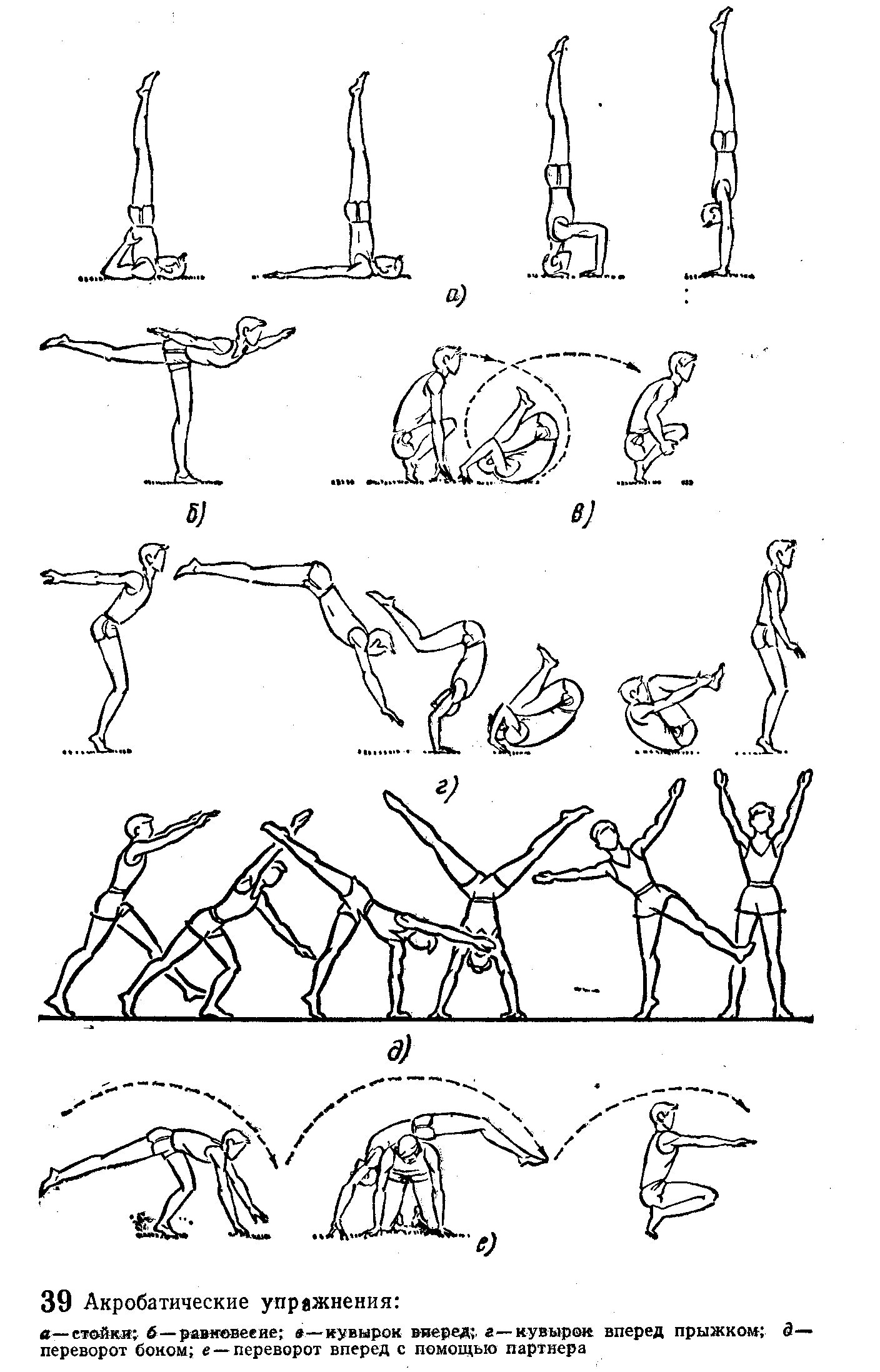 Комплекс акробатических элементов в гимнастике